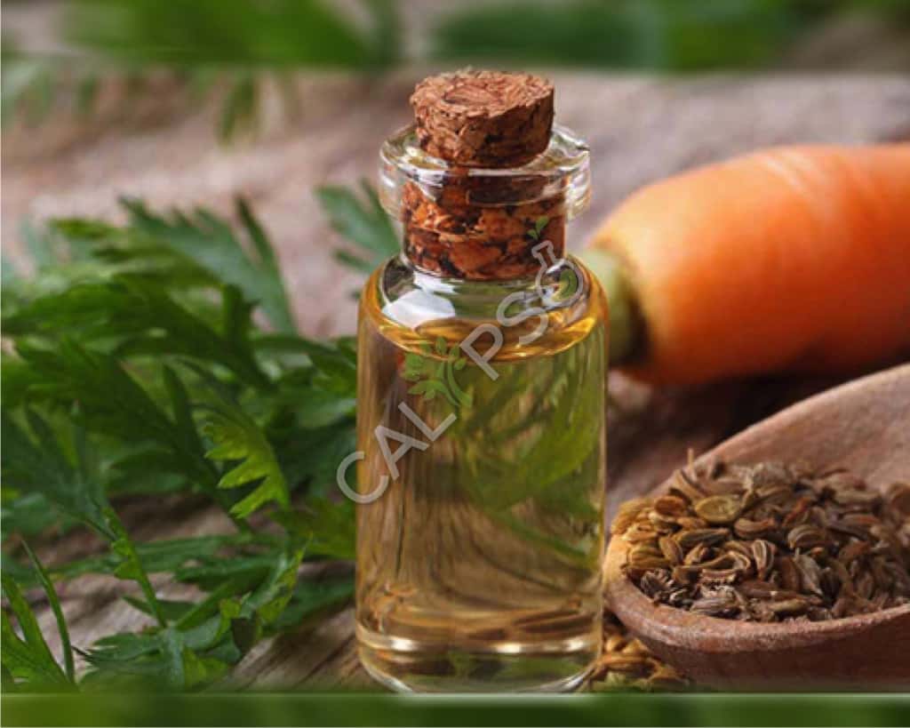 Comprar semilla de zanahoria aceite esencial natural